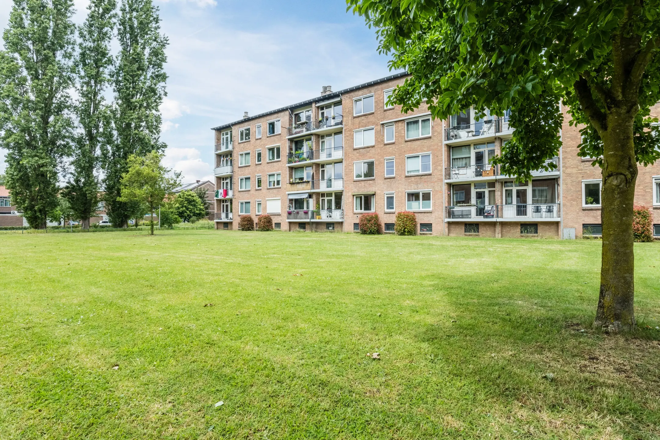 https://hestia.nl/wp-content/uploads/2026/06/281018397.jpg